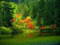 /album/fotogaleria/images-11-jpg/